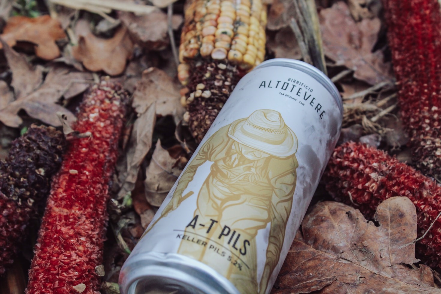 Exploring the Beer Revolution at McNallys