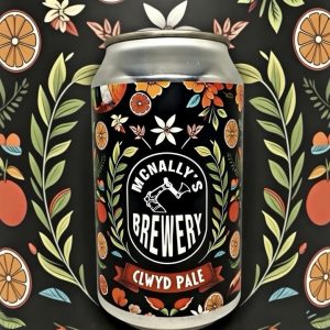 Clwyd Pale - Pale Ale (4.7%) - 4-Pack Bundle